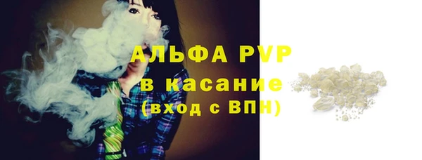 сатива Арсеньев