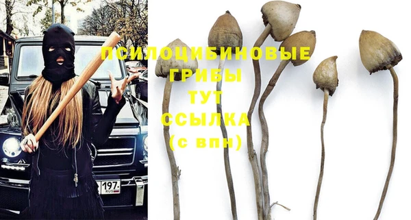 сатива Арсеньев