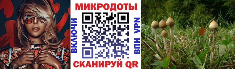 Псилоцибиновые грибы Magic Shrooms  Купить  Пионерский 